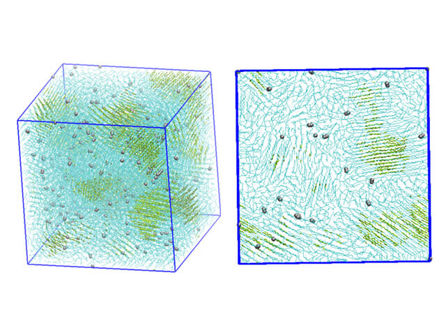 Molecular dynamics simulation of a polymer crystallization